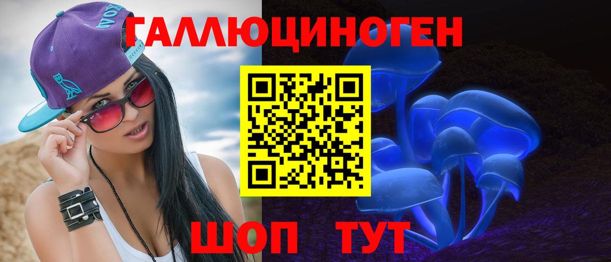 Псилоцибиновые грибы Psilocybe Дивногорск