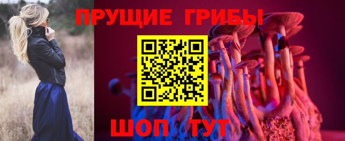 Псилоцибиновые грибы Cubensis  Псилоцибиновые грибы ЛСД  Дивногорск  Вход с VPN 